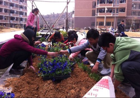 爱绿护绿创造美丽校园